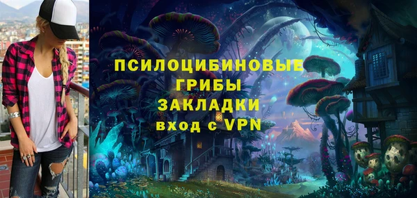 марки nbome Бородино