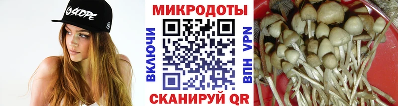 Псилоцибиновые грибы мицелий Йошкар-Ола